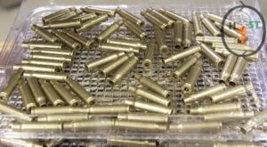 308 Winchester wet cases
